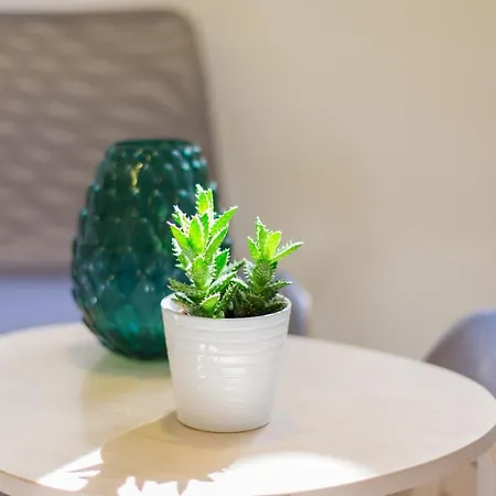 Casas Menezes Appartement